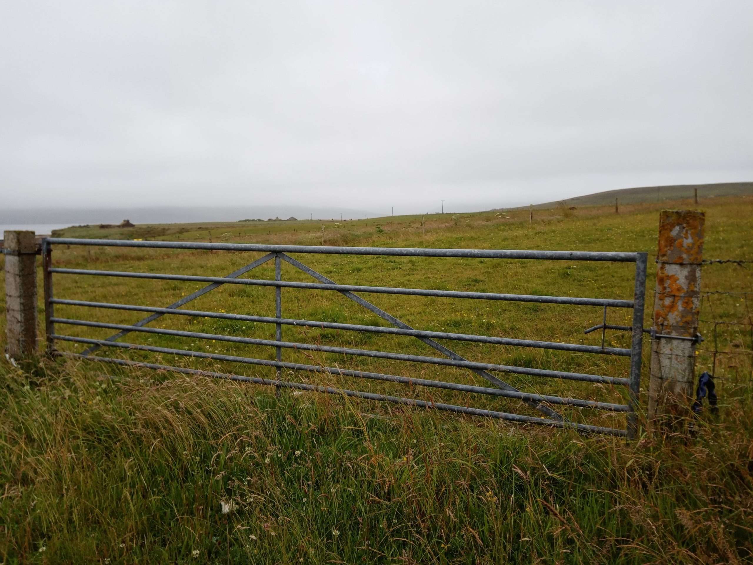 Field gate